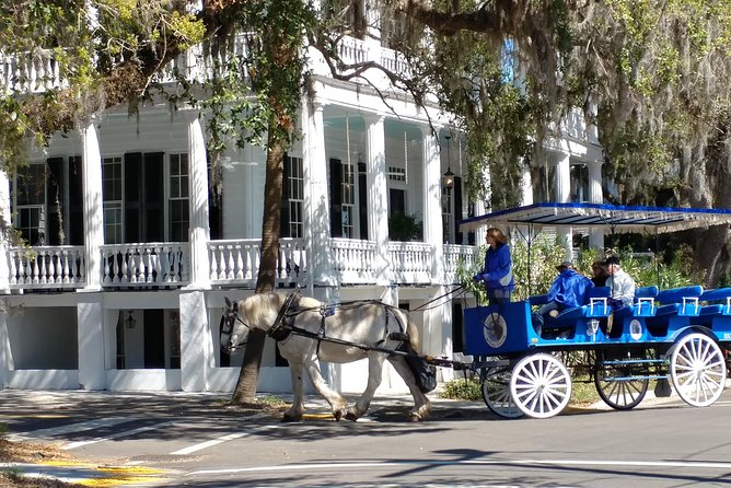 #1 Historical Horse Drawn Carriage Tour - Participant Feedback
