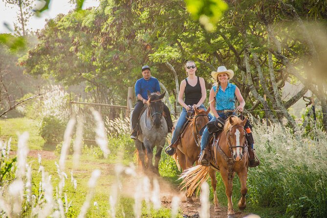 1 Hour Scenic Horseback Ride - What to Expect on the Ride