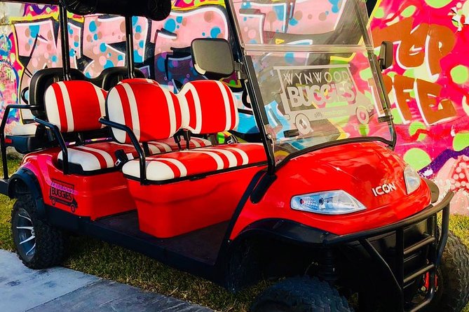 1 Hour WYNWOOD BUGGIES Tour (Language: ENGLISH) - Customer Reviews and Feedback
