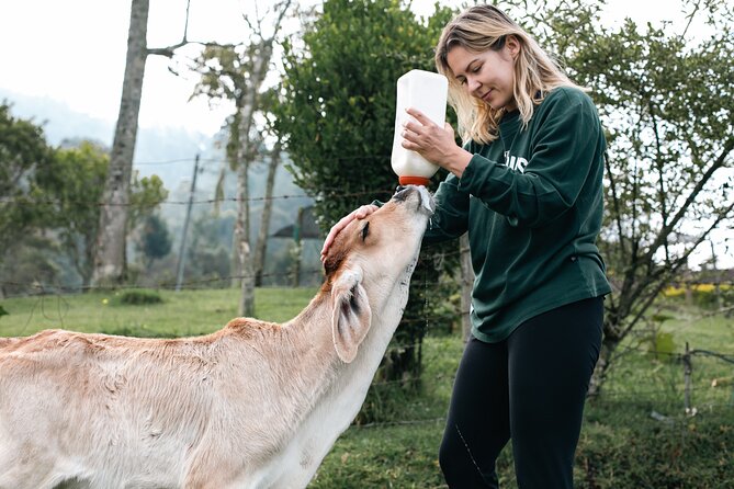 100-Year-Old Family Finca Adventure: Horseback Riding & More - Scenic Horseback Riding Through the Countryside
