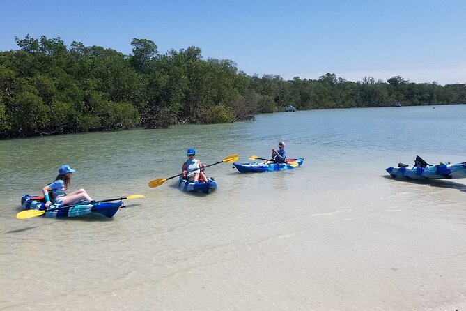 2.5-Hour Guided Group Kayak Tour on Big Hickory Pass - Equipment and Gear Provided for the Tour