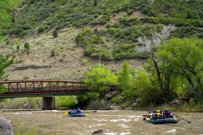 2.5 Hour Splash N Dash Family Rafting in Durango With Guide - Scenic Animas River Journey