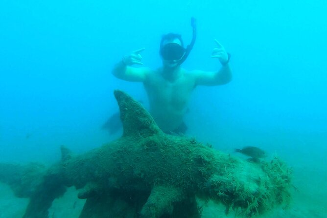 2 ½ - Hour Guided Snorkel Tour of Phil Foster Park, Free Videos! - Tour Inclusions and Convenience