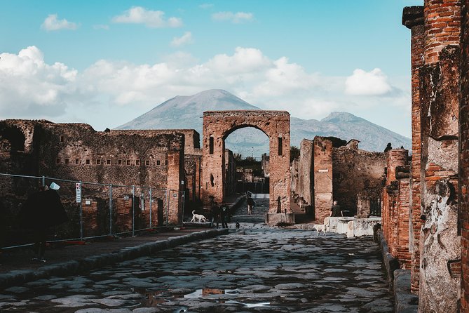2-hour Private Guided Tour of Pompeii - Accessibility and Capacity