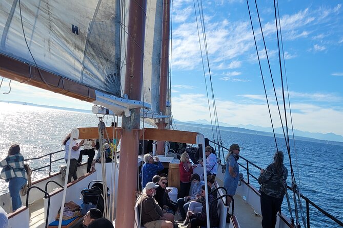 2-Hour Seattle Sailing Harbor Tour - Potential Concerns