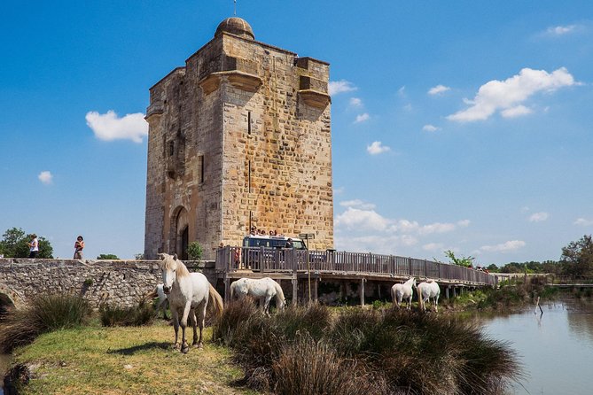 3.5 Hour Camargue 4x4 Safari From Le Grau-Du Roi - Booking and Cancellation Policy