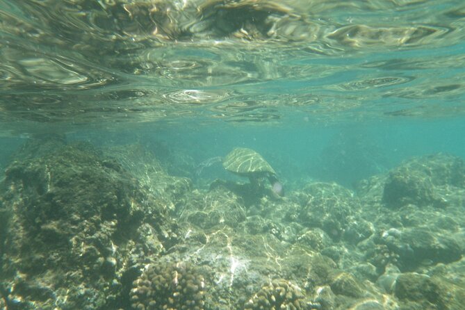 3.5 Hour Kailua-Kona Ocean Kayak and Snorkel Tour - Exploring the Coastline