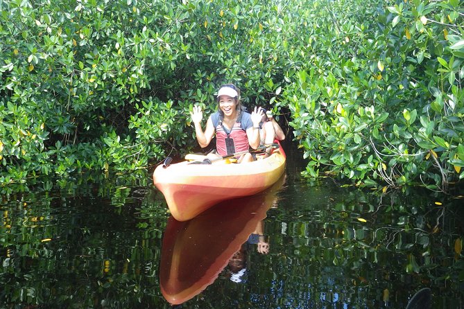 3 Hour Guided Mangrove Tunnel Kayak Eco Tour - Guided Tour