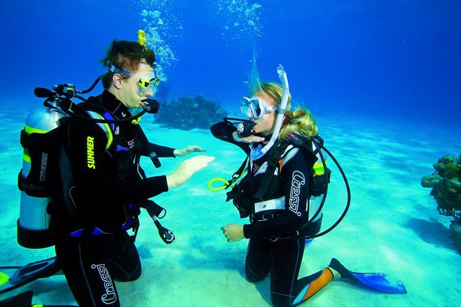 3-Hour Guided PADI Scuba Diving Experience in Tenerife - Health and Safety Guidelines