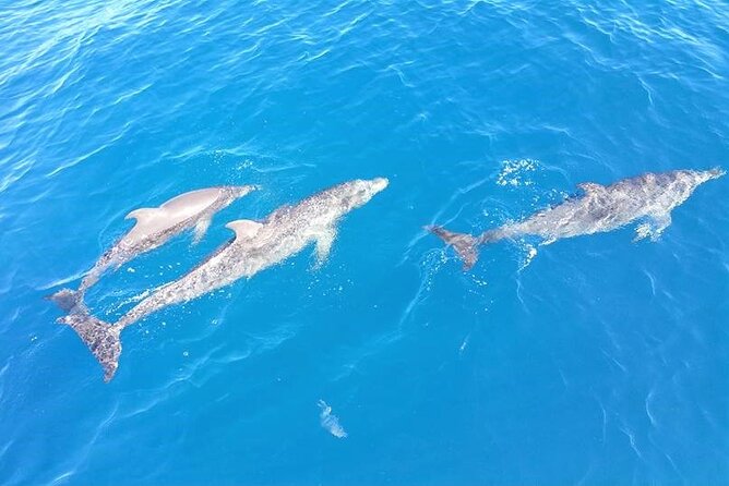 4-Hour Fort Lauderdale Sailing Charter - Customer Reviews and Feedback