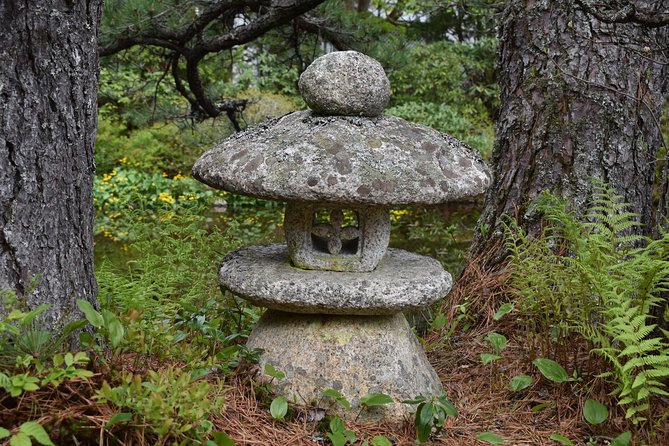 4 Hour Private Tour: Explore Acadia Natl Park, Fjord & Mansions - Accessibility and Additional Information