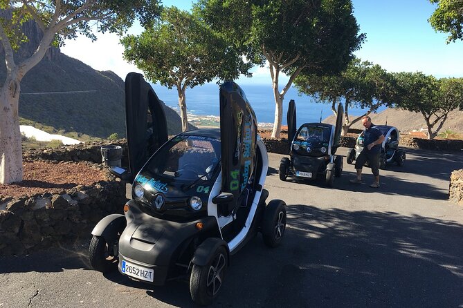 4 Hours Eco Safari Tour With Electric Car in Tenerife - Enriching Commentary on Canarian History and Culture
