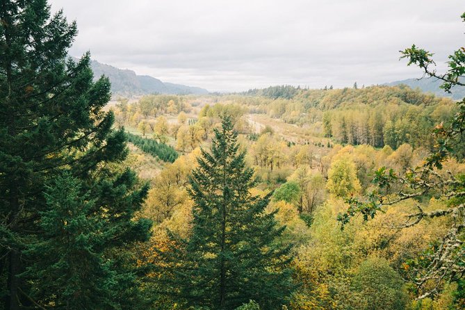 Afternoon Half-Day Multnomah Falls and Columbia River Gorge Waterfalls Tour From Portland - Traveler Reviews and Experiences