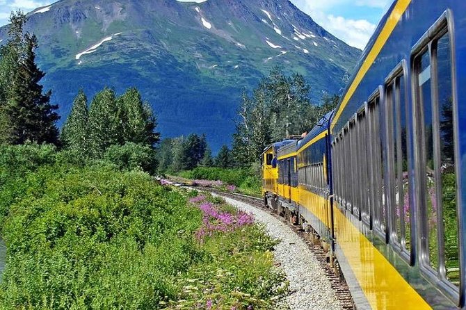 Alaska Railroad Anchorage to Seward Round-Trip Same Day Return - Tour Schedule and Logistics