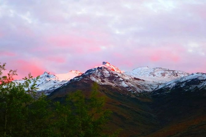 Alaskan Back Country Side by Side ATV Adventure With Meal - Backcountry Meal and Refreshments