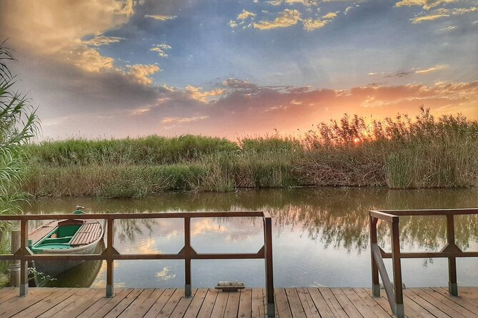 Albufera Natural Park Tour With Boat Ride From Valencia - Traveler Reviews and Feedback