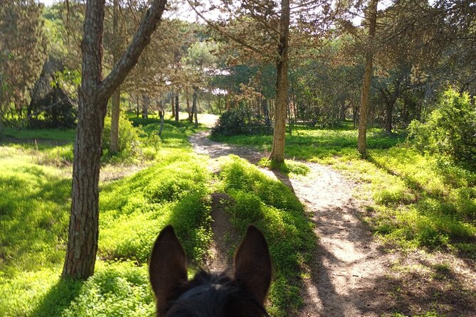 Algarve - Exclusive Horseriding in Portimao (No Experience Required) - Meet the Rescue Horses