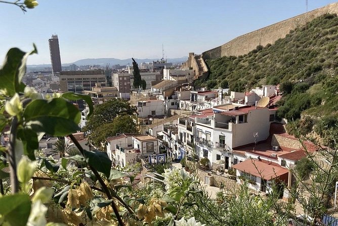 Alicante Historic Small Group Tour With Tapas Tasting - Traveler Feedback and Recommendations