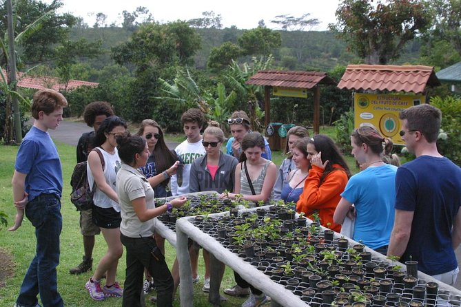 All-Inclusive Package 7 Nights 8 Days in the Best Destinations in Costa Rica - Exploring National Parks and Volcanoes