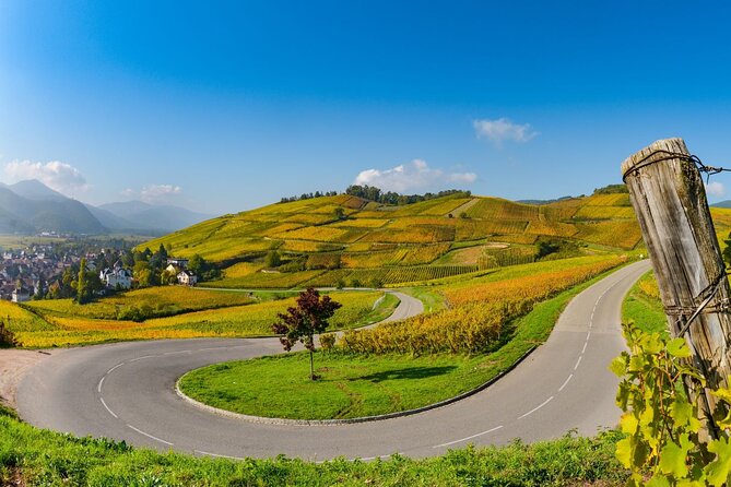 Alsace Wine Route Small Group Half-Day Tour With Tasting From Strasbourg - Reviews and Feedback