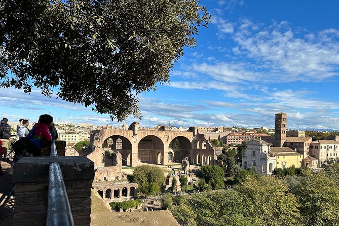 Ancient Rome Discovery: Colosseum, Forum, Palatine Guided Tour - Customer Reviews and Ratings