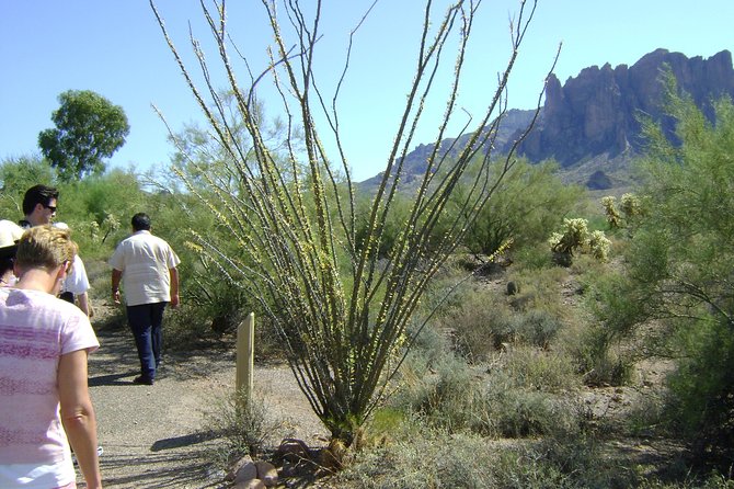 Apache Trail and Dolly Steamboat Van Tour - Discovering Tortilla Flat