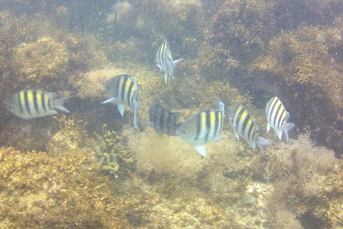 Aqua Aventura - Diving for Families - Safety and Supervision on the Aqua Aventura Tour