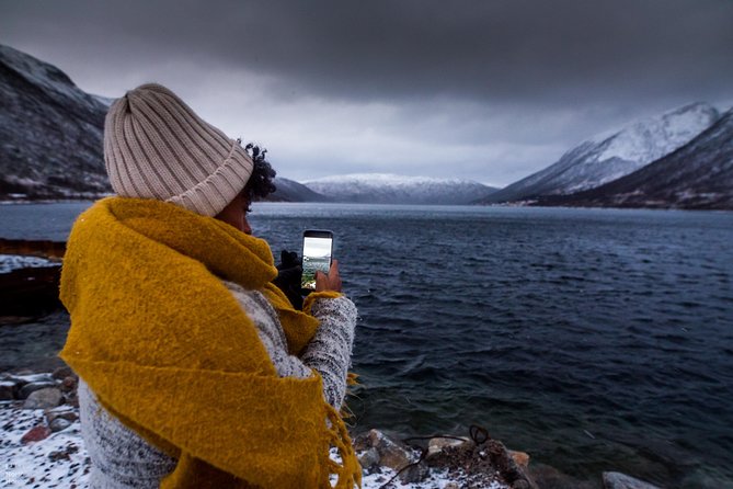 Arctic Nature Photography Sightseeing Tour From Tromso - Photography Opportunities