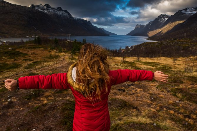 Arctic Nature Tour From Tromsø by Minibus - Traveler Reviews and Highlights
