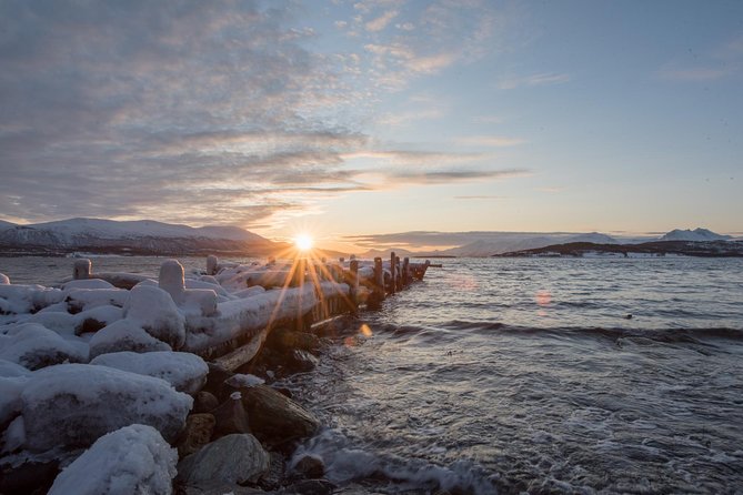 Arctic Road Trip From Tromso - Scenic Routes and Wildlife Sightings