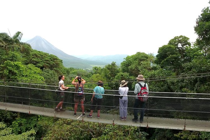 Arenal Hanging Bridges in Mistico Park - Traveler Reviews and Feedback