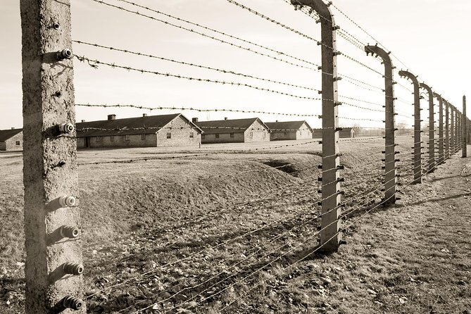 Auschwitz- Birkenau and Wieliczka Salt Mine in One Day - Feedback and Recommendations