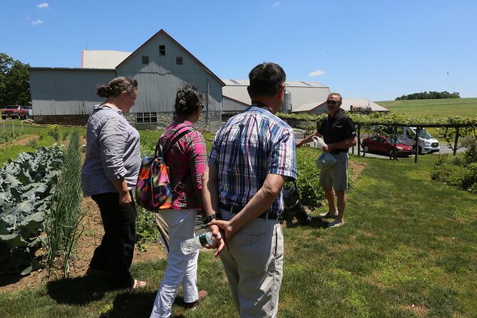 Authentic Tour & Meal With the Amish! - Transportation and Accessibility