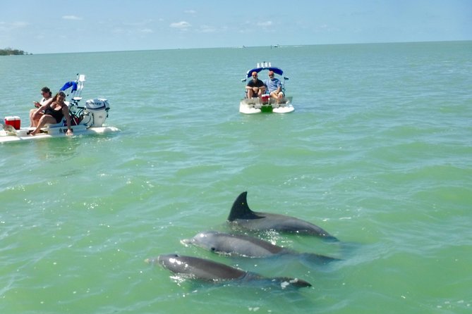 Backwater Adventures CraigCat Tours of the 10,000 Islands - Tour Inclusions and Pricing