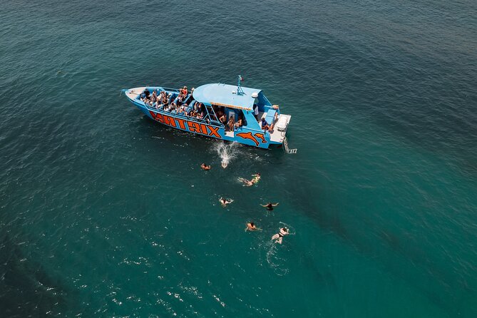 Benagil Caves and Dolphin Watching - 2.5h - Meeting Point and Logistics