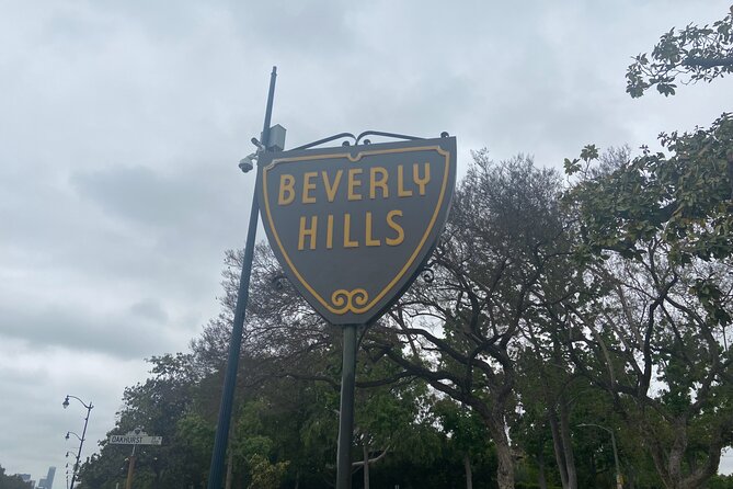 Best of LA, Hollywood, Beverly Hills Tour With Beaches Plus More - Experiencing the Lively Venice Beach