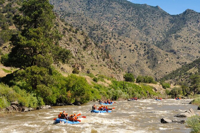 Bighorn Sheep Canyon Half Day Tour (Free Wetsuit Gear Use) - Whitewater Rafting Experience