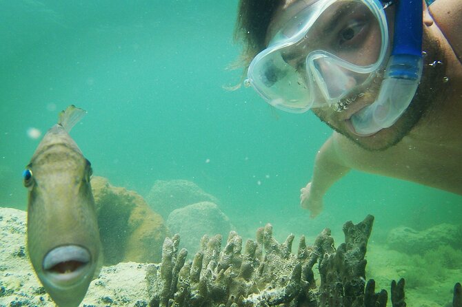 Biologist Owned & Operated: Dolphin Watching & Guided Snorkeling - Commitment to Eco-Tourism