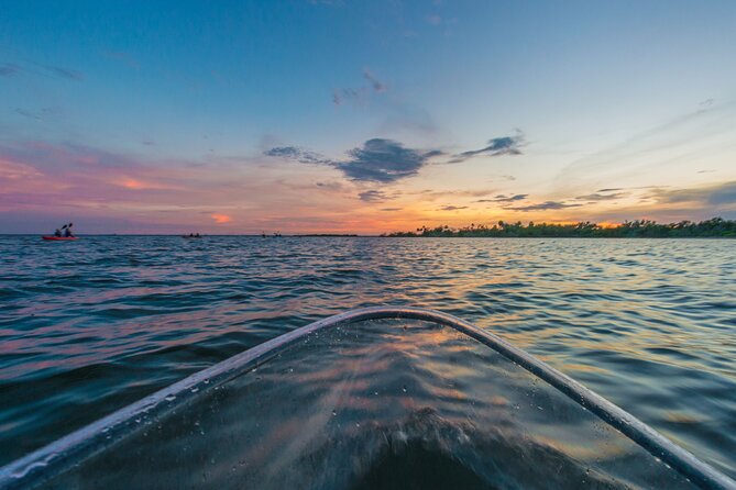 Bioluminescent Clear Kayak Tours in Titusville - Wildlife Spotting
