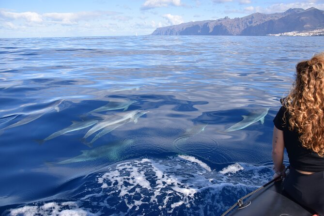 Bonadea II Ecological Whale Watching, 2 Hours - Eco-Friendly Activities