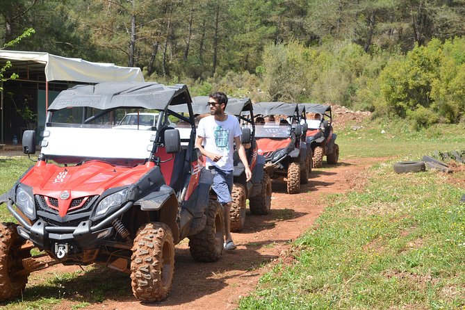 Buggy Safari - Accessibility and Recommendations