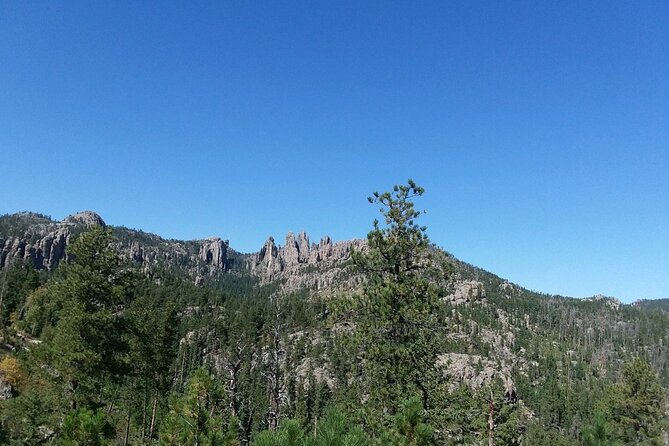 Bus Tour of Mount Rushmore and the Black Hills - Traveler Experiences