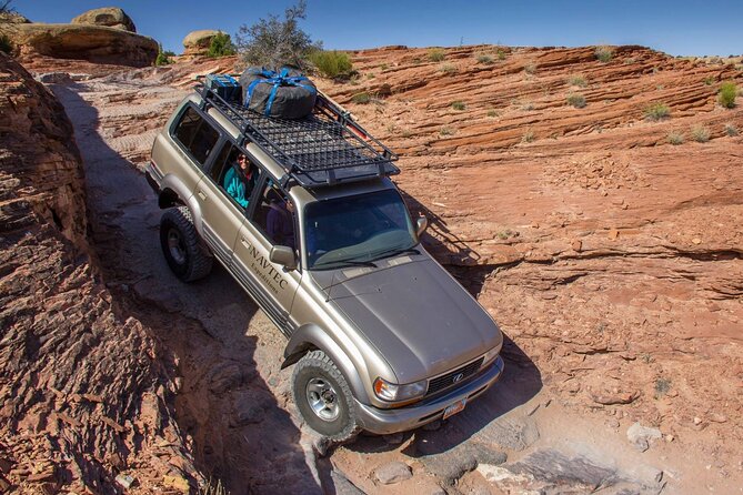 Canyonlands National Park Needles District by 4x4 - Wildlife Encounters