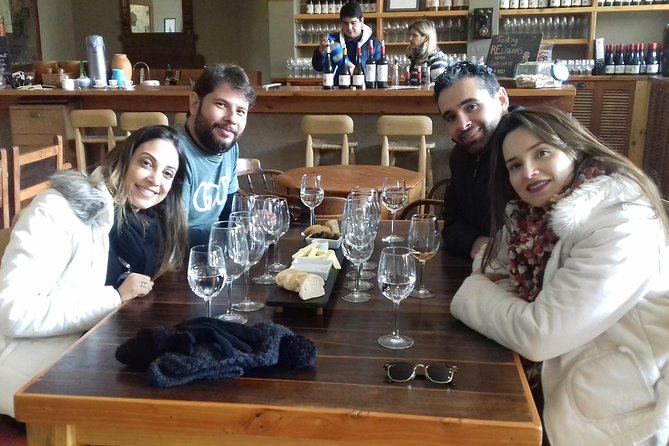 Casablanca Valley & Casa Del Bosque - 3 Vineyards - Full Day - Booking Information and Policies