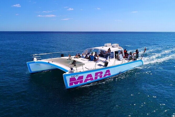 Catamaran Cruise: Caves and Coastline to Benagil - Value and Recommendations