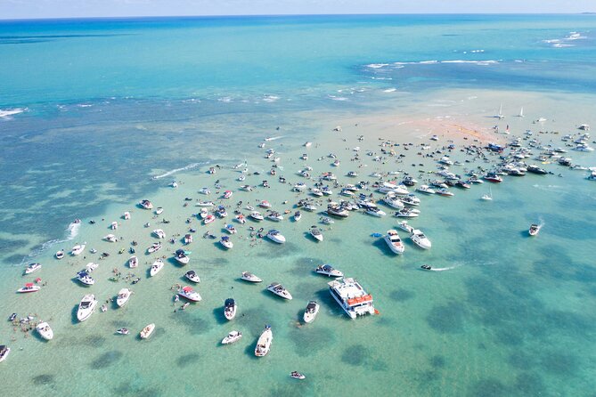 Catamaran Trip to Areia Vermelha Island With Transfer - Customer Feedback