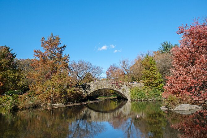 Central Park Private Pedicab Tour (60 Mins) - Customer Reviews and Experiences