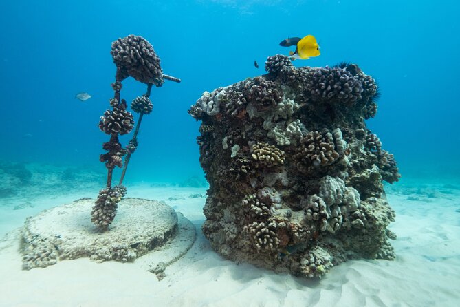 Certified Diver: 2-Tank Shallow Reef Dives off Oahu - Additional Information and Equipment
