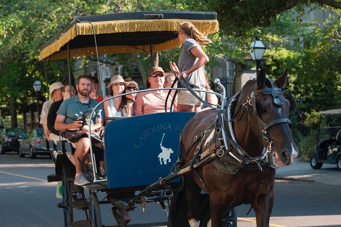 Charleston Horse & Carriage Historic Sightseeing Tour - Positive Reviews and Feedback