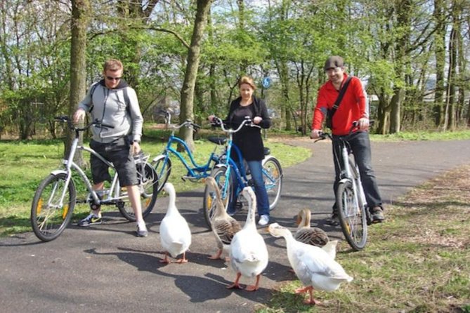 Cheese, Canals & Windmill Countryside E-Bike Tour Amsterdam - Navigating the E-Bike Experience